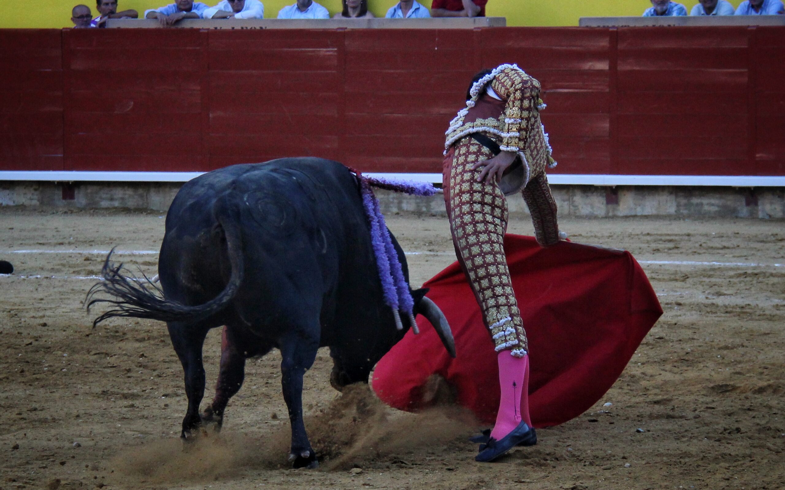 Palencia - Corrida de toros - Sábado 1 de septiembre de 2018