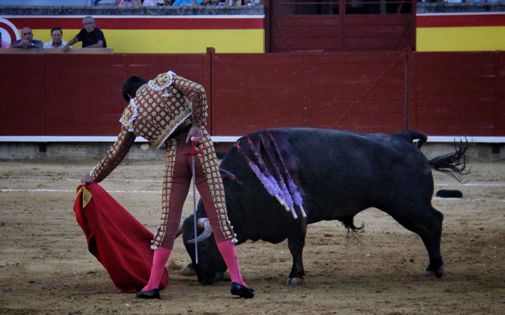 Palencia - Corrida de toros - Sábado 1 de septiembre de 2018