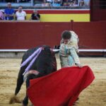 Palencia - Corrida de toros - Sábado 1 de septiembre de 2018