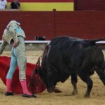 Palencia - Corrida de toros - Sábado 1 de septiembre de 2018