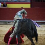 Palencia - Corrida de toros - Sábado 1 de septiembre de 2018