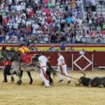 Palencia - Corrida de toros - Sábado 1 de septiembre de 2018
