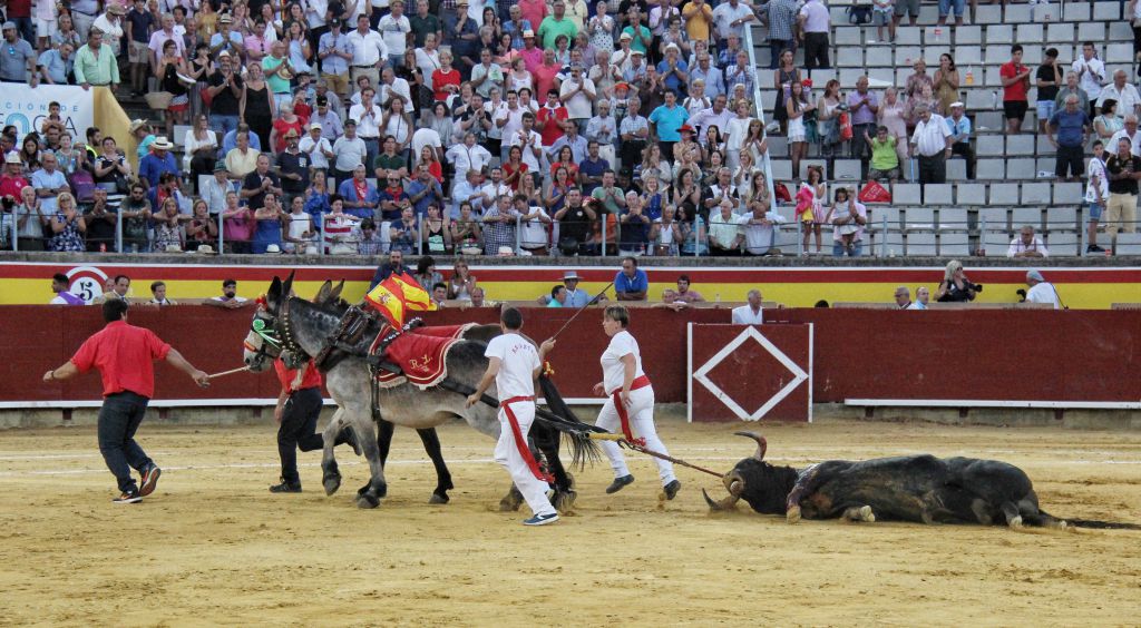Palencia - Corrida de toros - Sábado 1 de septiembre de 2018