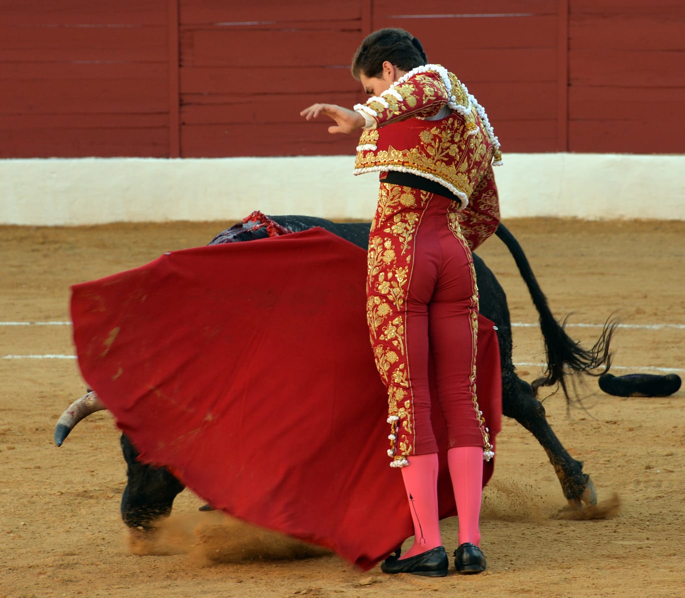 Zafra (Badajoz) - Corrida de toros - Sábado 29 de septiembre de 2018