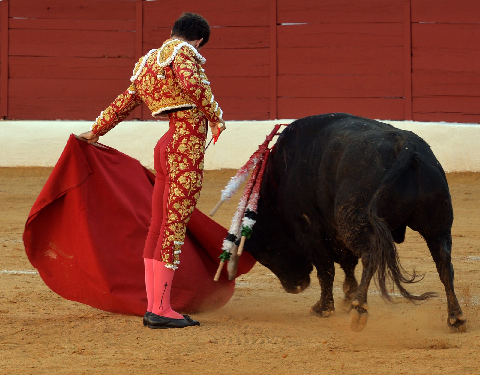Zafra (Badajoz) - Corrida de toros - Sábado 29 de septiembre de 2018