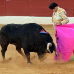 Zafra (Badajoz) - Corrida de toros - Sábado 29 de septiembre de 2018