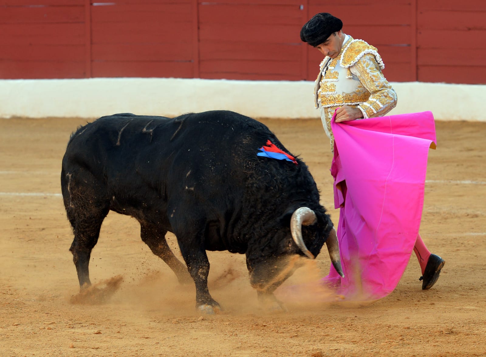 Zafra (Badajoz) - Corrida de toros - Sábado 29 de septiembre de 2018