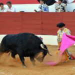 Zafra (Badajoz) - Corrida de toros - Sábado 29 de septiembre de 2018