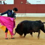 Zafra (Badajoz) - Corrida de toros - Sábado 29 de septiembre de 2018