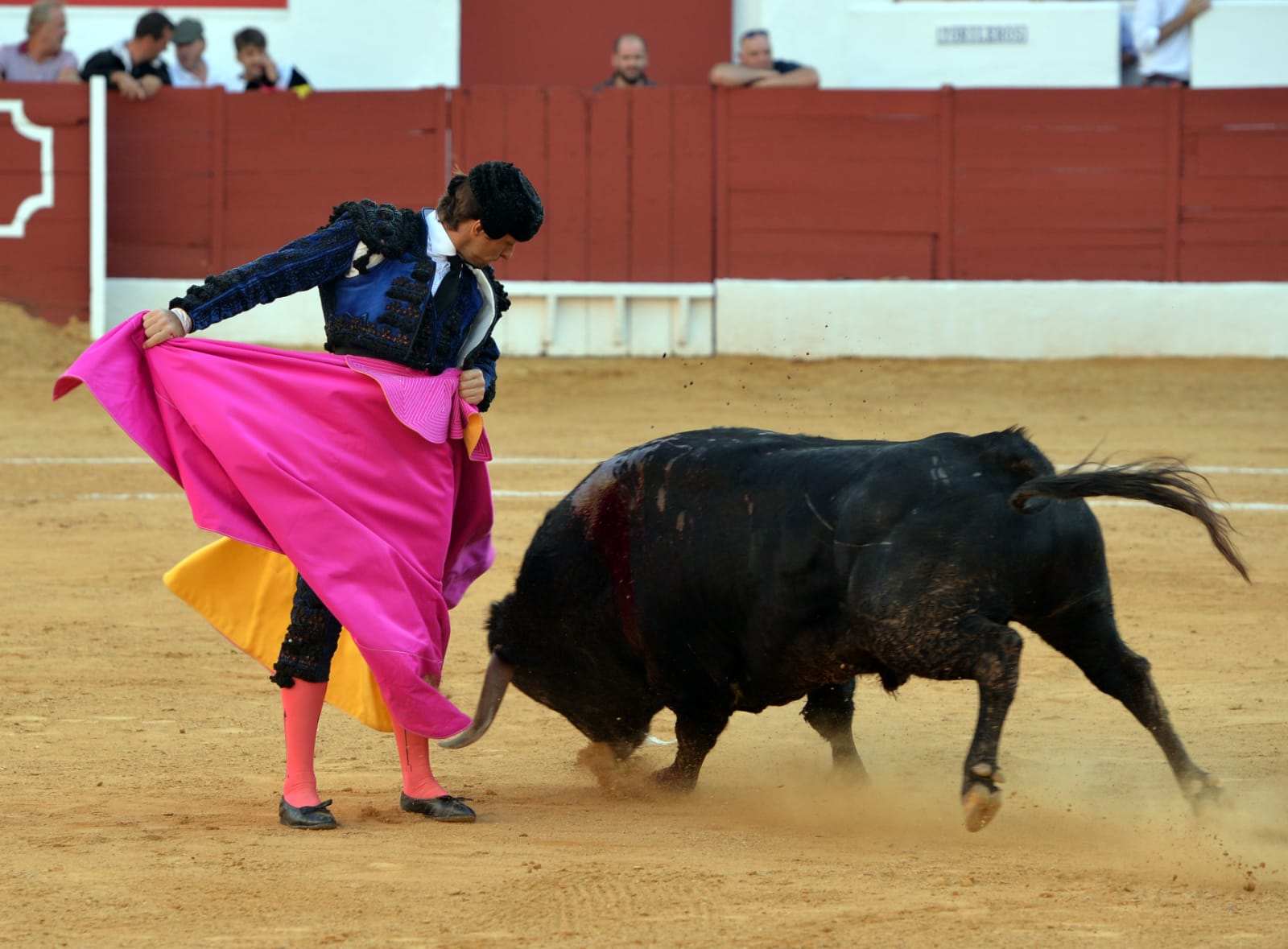 Zafra (Badajoz) - Corrida de toros - Sábado 29 de septiembre de 2018