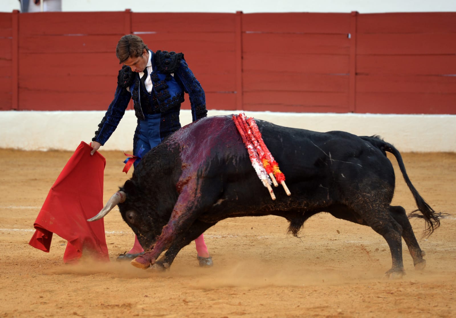 Zafra (Badajoz) - Corrida de toros - Sábado 29 de septiembre de 2018