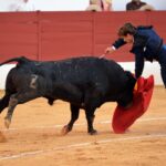 Zafra (Badajoz) - Corrida de toros - Sábado 29 de septiembre de 2018