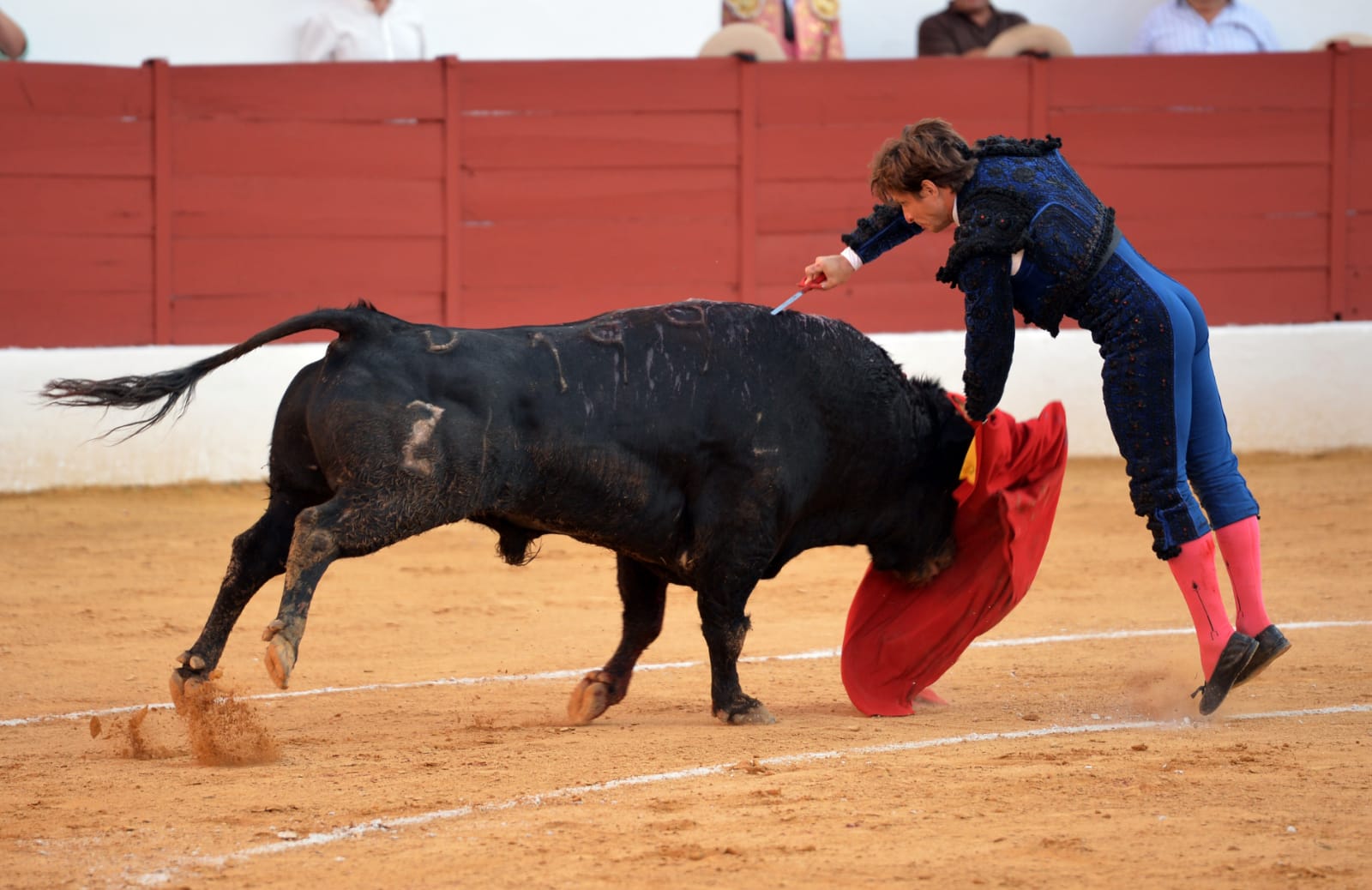 Zafra (Badajoz) - Corrida de toros - Sábado 29 de septiembre de 2018