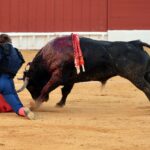Zafra (Badajoz) - Corrida de toros - Sábado 29 de septiembre de 2018