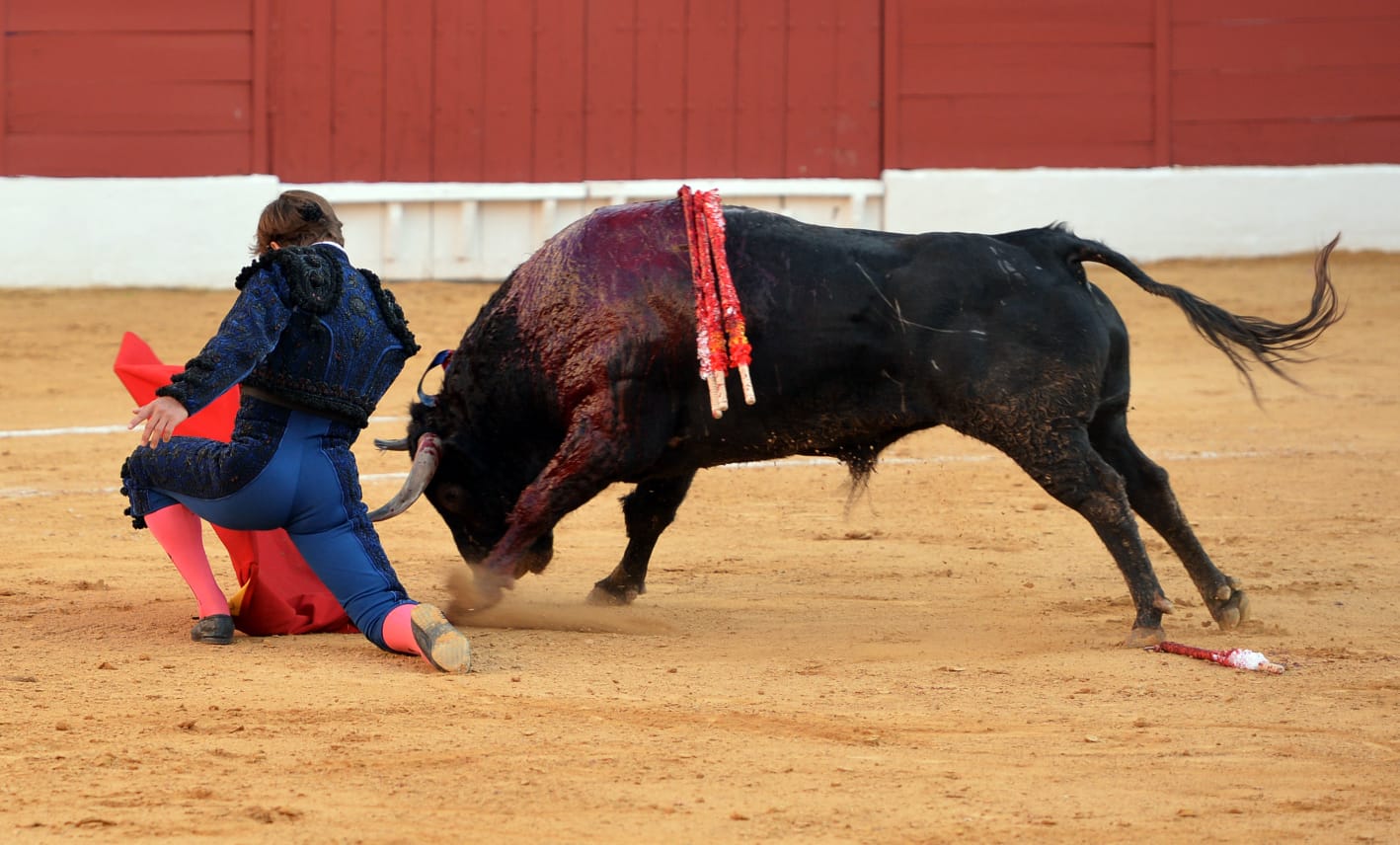 Zafra (Badajoz) - Corrida de toros - Sábado 29 de septiembre de 2018