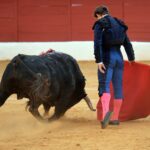 Zafra (Badajoz) - Corrida de toros - Sábado 29 de septiembre de 2018