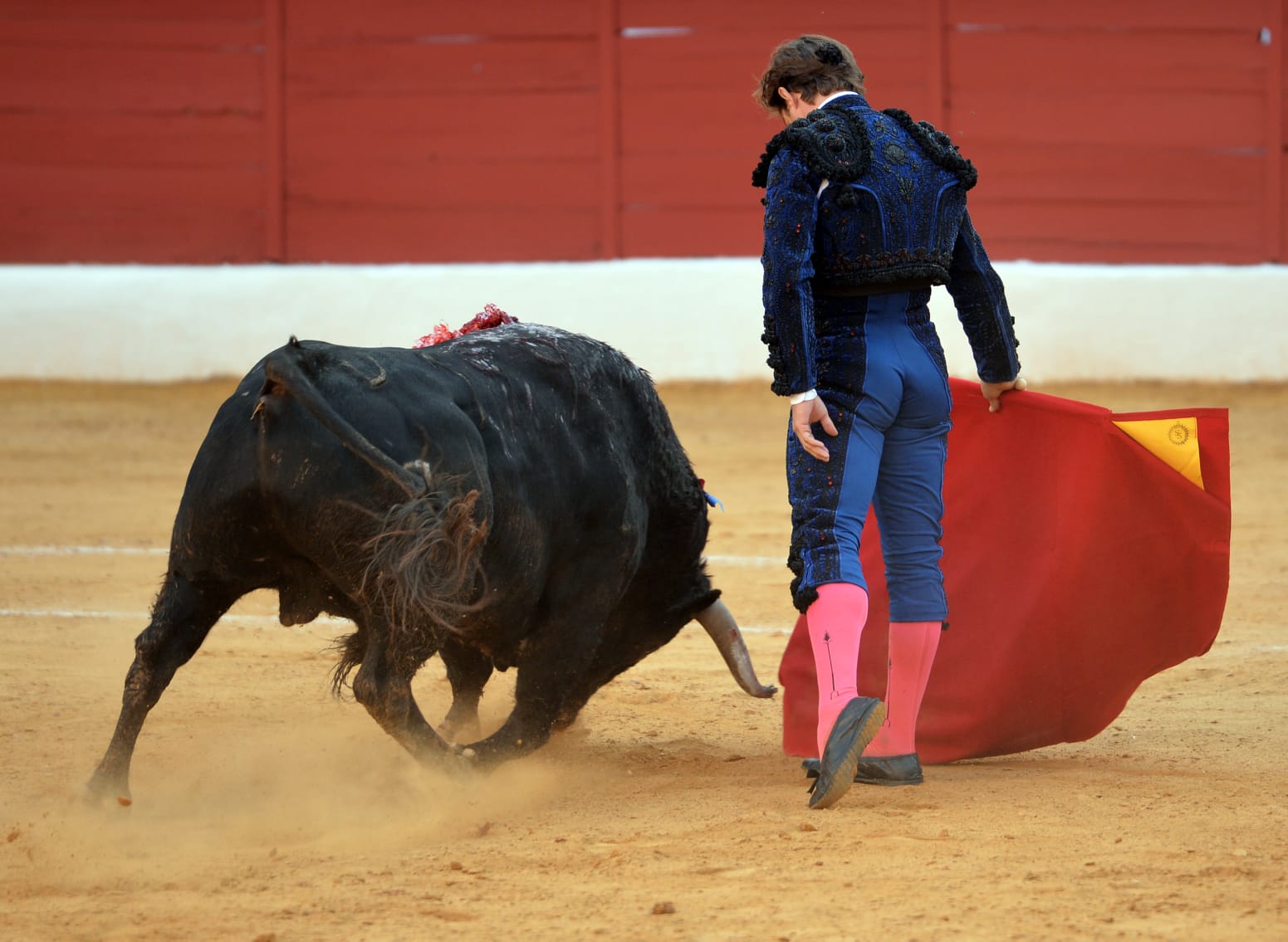 Zafra (Badajoz) - Corrida de toros - Sábado 29 de septiembre de 2018