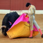 Zafra (Badajoz) - Corrida de toros - Sábado 29 de septiembre de 2018