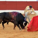 Zafra (Badajoz) - Corrida de toros - Sábado 29 de septiembre de 2018