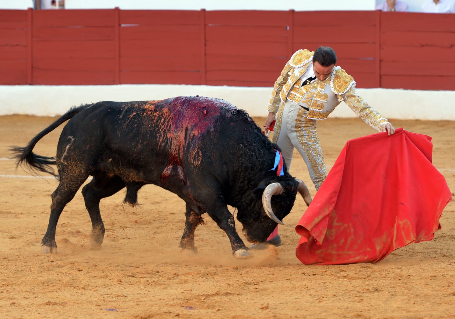 Zafra (Badajoz) - Corrida de toros - Sábado 29 de septiembre de 2018
