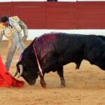 Zafra (Badajoz) - Corrida de toros - Sábado 29 de septiembre de 2018