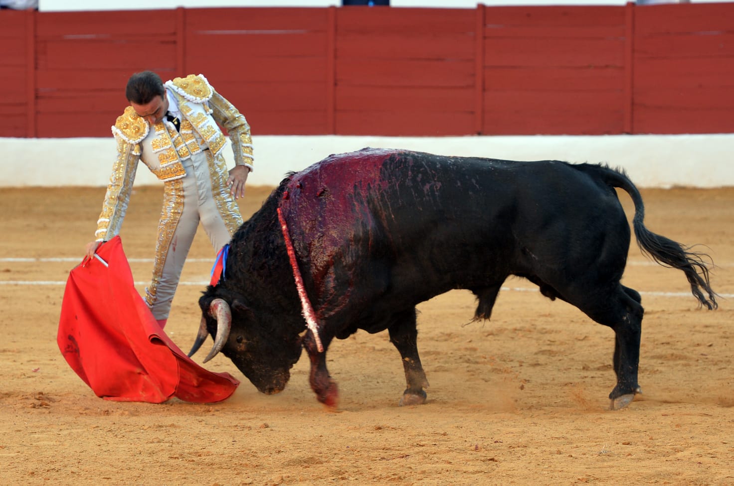 Zafra (Badajoz) - Corrida de toros - Sábado 29 de septiembre de 2018