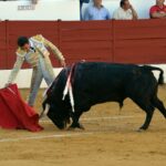 Zafra (Badajoz) - Corrida de toros - Sábado 29 de septiembre de 2018