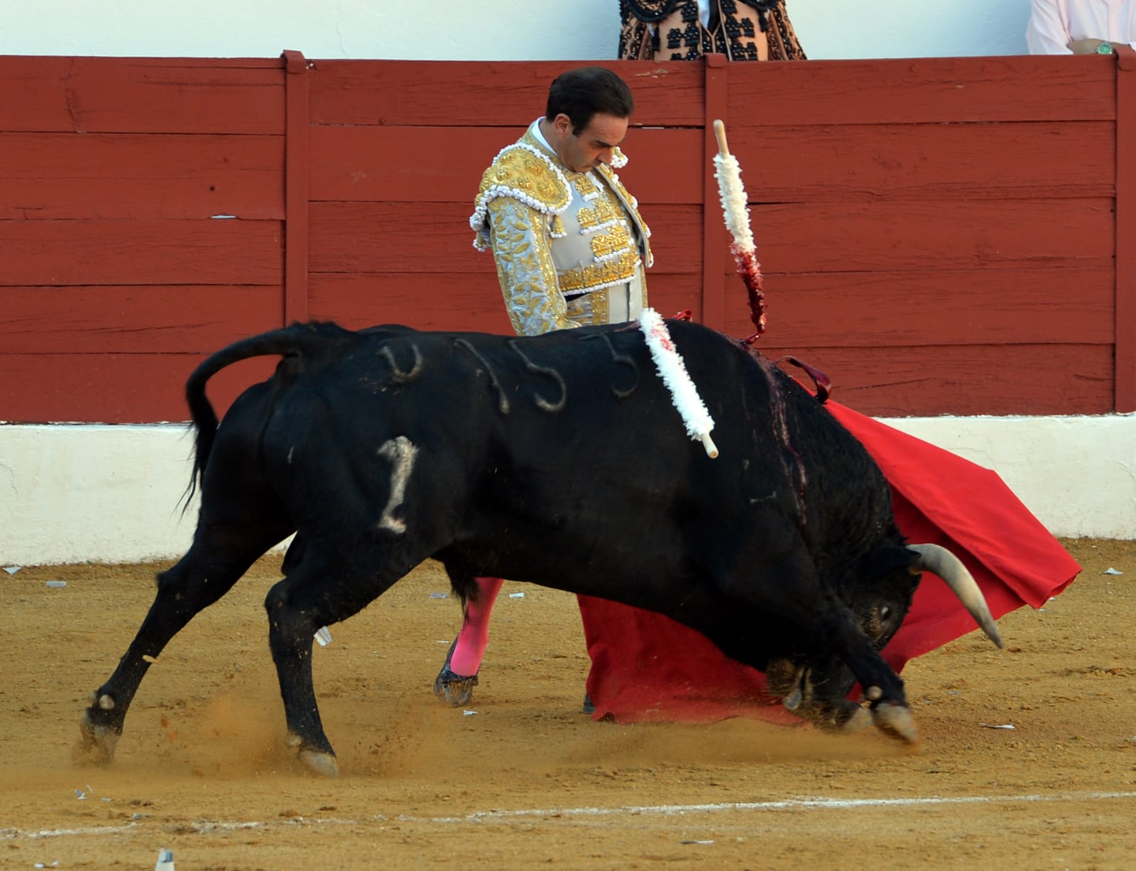 Zafra (Badajoz) - Corrida de toros - Sábado 29 de septiembre de 2018
