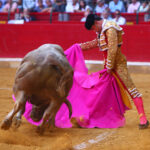 Zaragoza - Novillada picada - Sábado 29 de septiembre de 2018