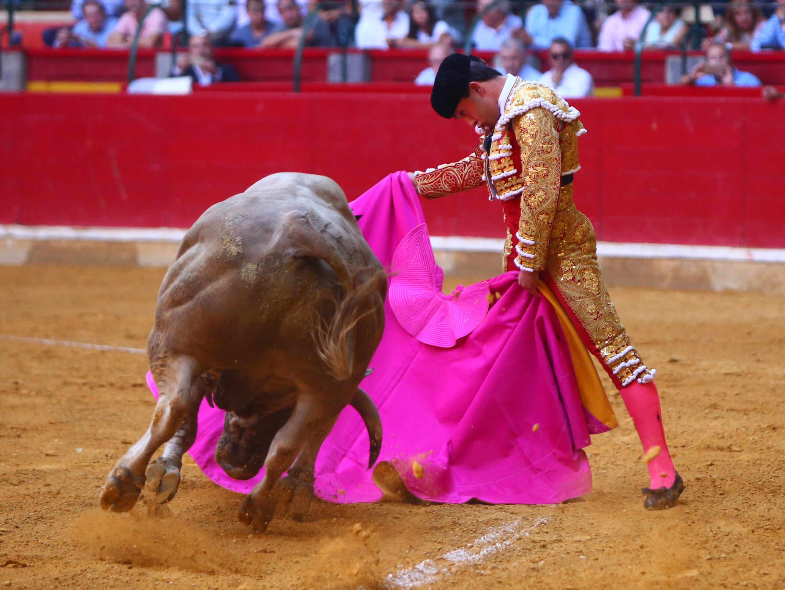 Zaragoza - Novillada picada - Sábado 29 de septiembre de 2018