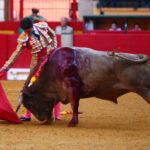 Zaragoza - Novillada picada - Sábado 29 de septiembre de 2018