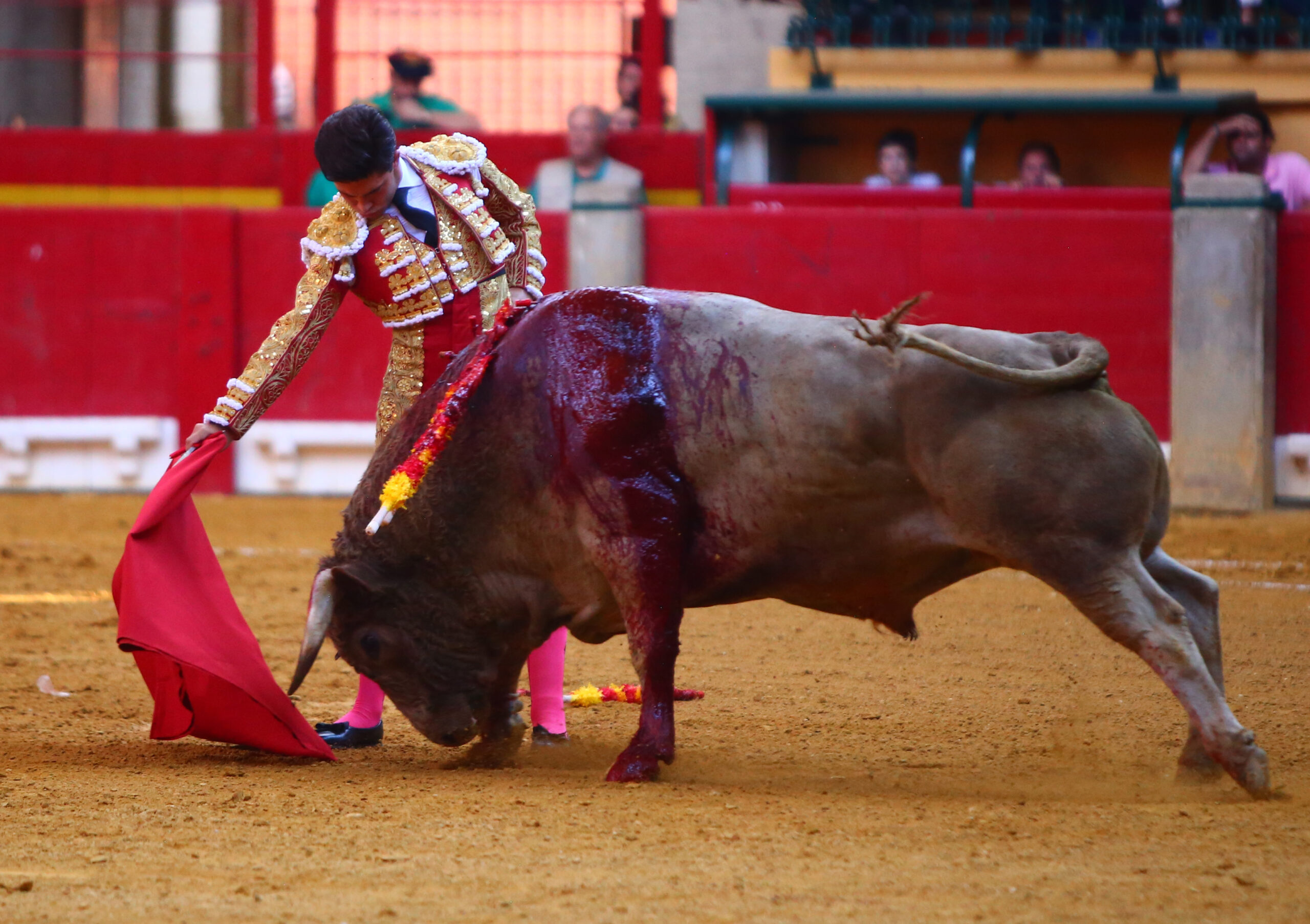 Zaragoza - Novillada picada - Sábado 29 de septiembre de 2018