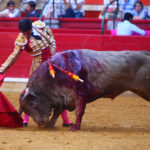 Zaragoza - Novillada picada - Sábado 29 de septiembre de 2018