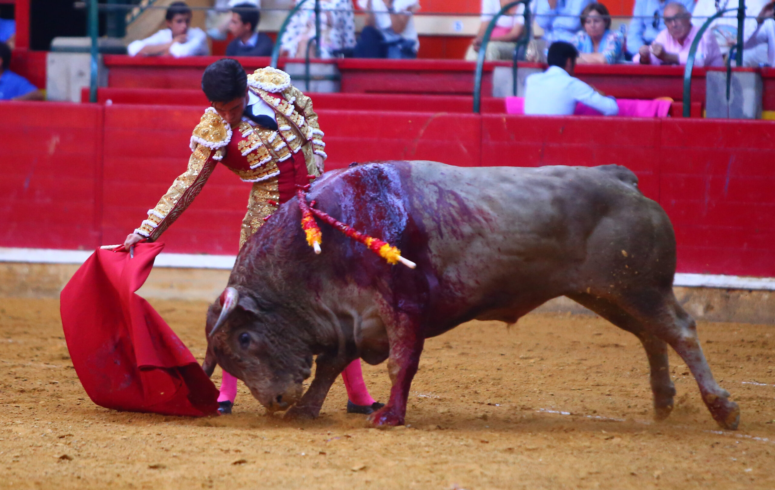 Zaragoza - Novillada picada - Sábado 29 de septiembre de 2018