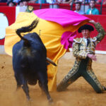 Zaragoza - Novillada picada - Sábado 29 de septiembre de 2018