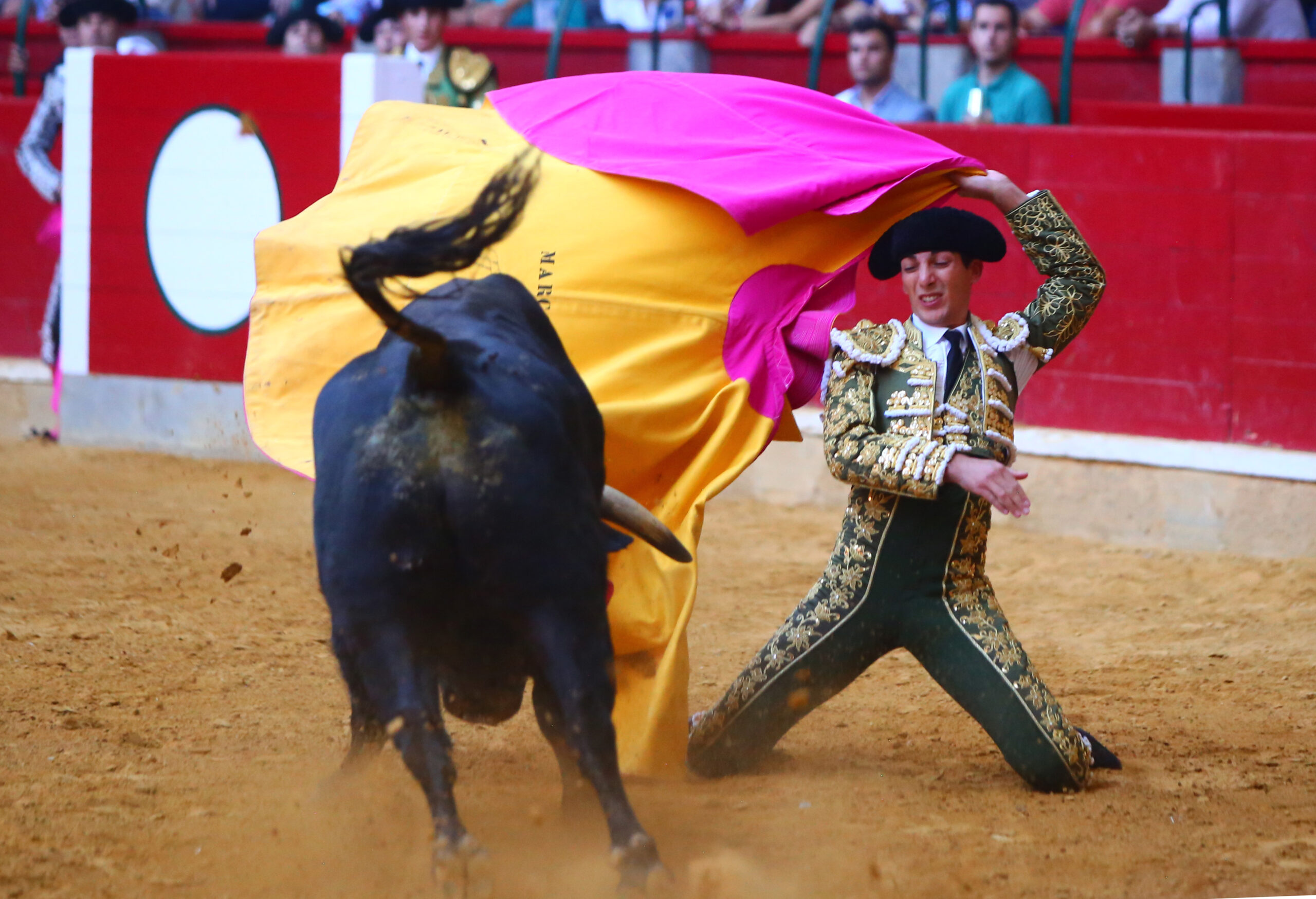 Zaragoza - Novillada picada - Sábado 29 de septiembre de 2018