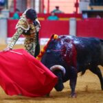 Zaragoza - Novillada picada - Sábado 29 de septiembre de 2018