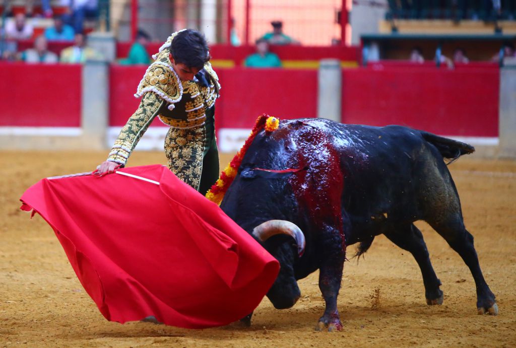 Zaragoza - Novillada picada - Sábado 29 de septiembre de 2018