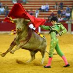 Zaragoza - Novillada picada - Sábado 29 de septiembre de 2018