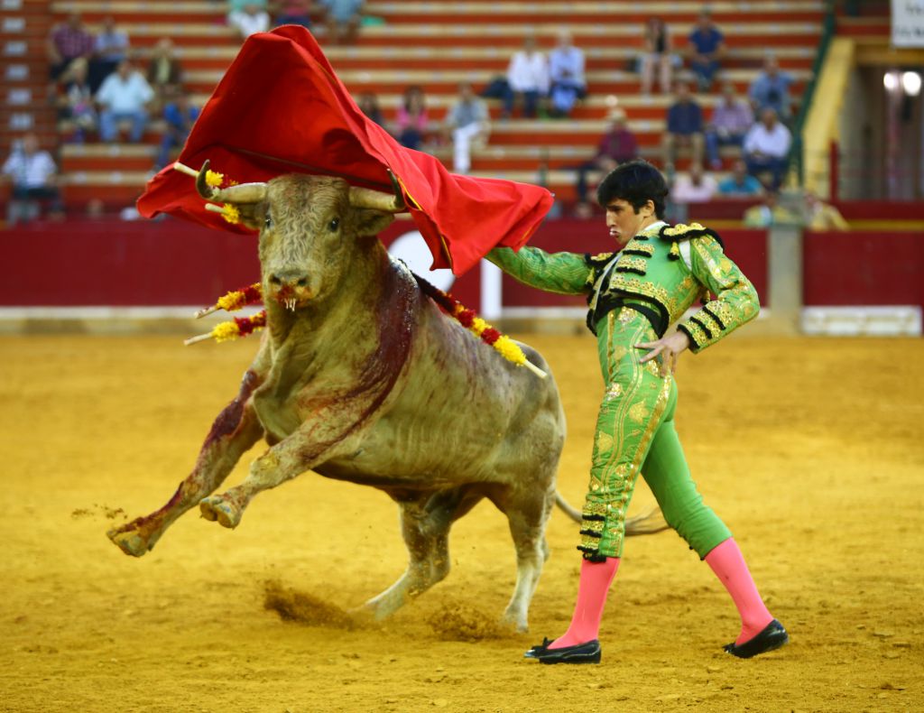 Zaragoza - Novillada picada - Sábado 29 de septiembre de 2018