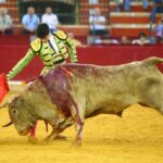 Zaragoza - Novillada picada - Sábado 29 de septiembre de 2018