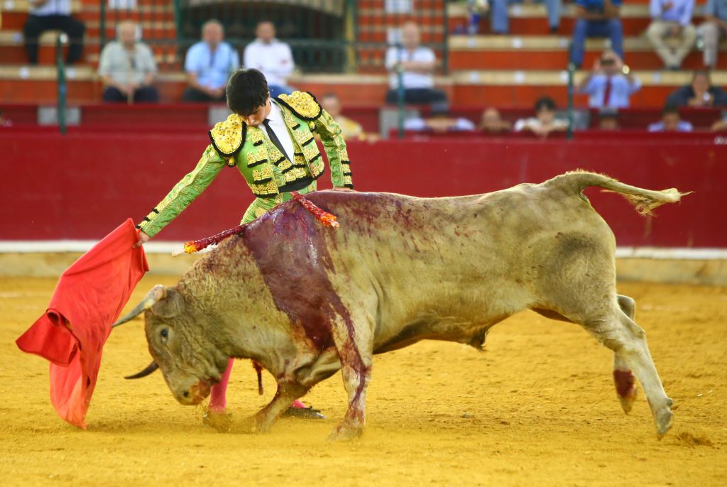Zaragoza - Novillada picada - Sábado 29 de septiembre de 2018
