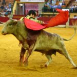 Zaragoza - Novillada picada - Sábado 29 de septiembre de 2018