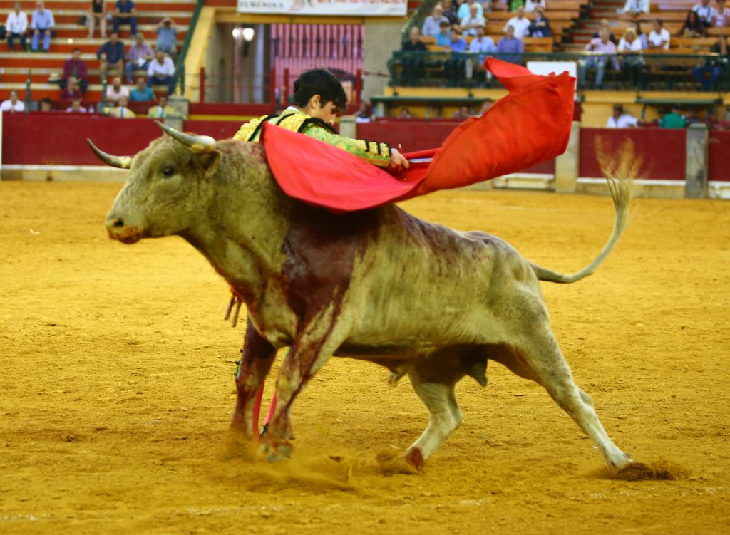 Zaragoza - Novillada picada - Sábado 29 de septiembre de 2018