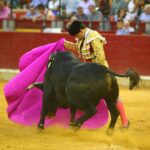 Zaragoza - Novillada picada - Sábado 29 de septiembre de 2018