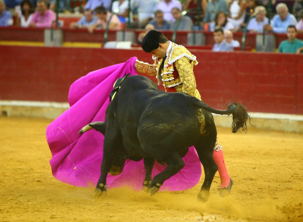Zaragoza - Novillada picada - Sábado 29 de septiembre de 2018