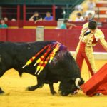 Zaragoza - Novillada picada - Sábado 29 de septiembre de 2018