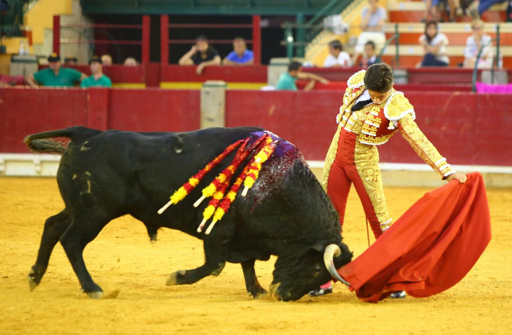 Zaragoza - Novillada picada - Sábado 29 de septiembre de 2018