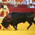 Zaragoza - Novillada picada - Sábado 29 de septiembre de 2018