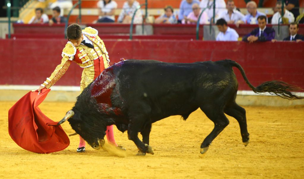 Zaragoza - Novillada picada - Sábado 29 de septiembre de 2018